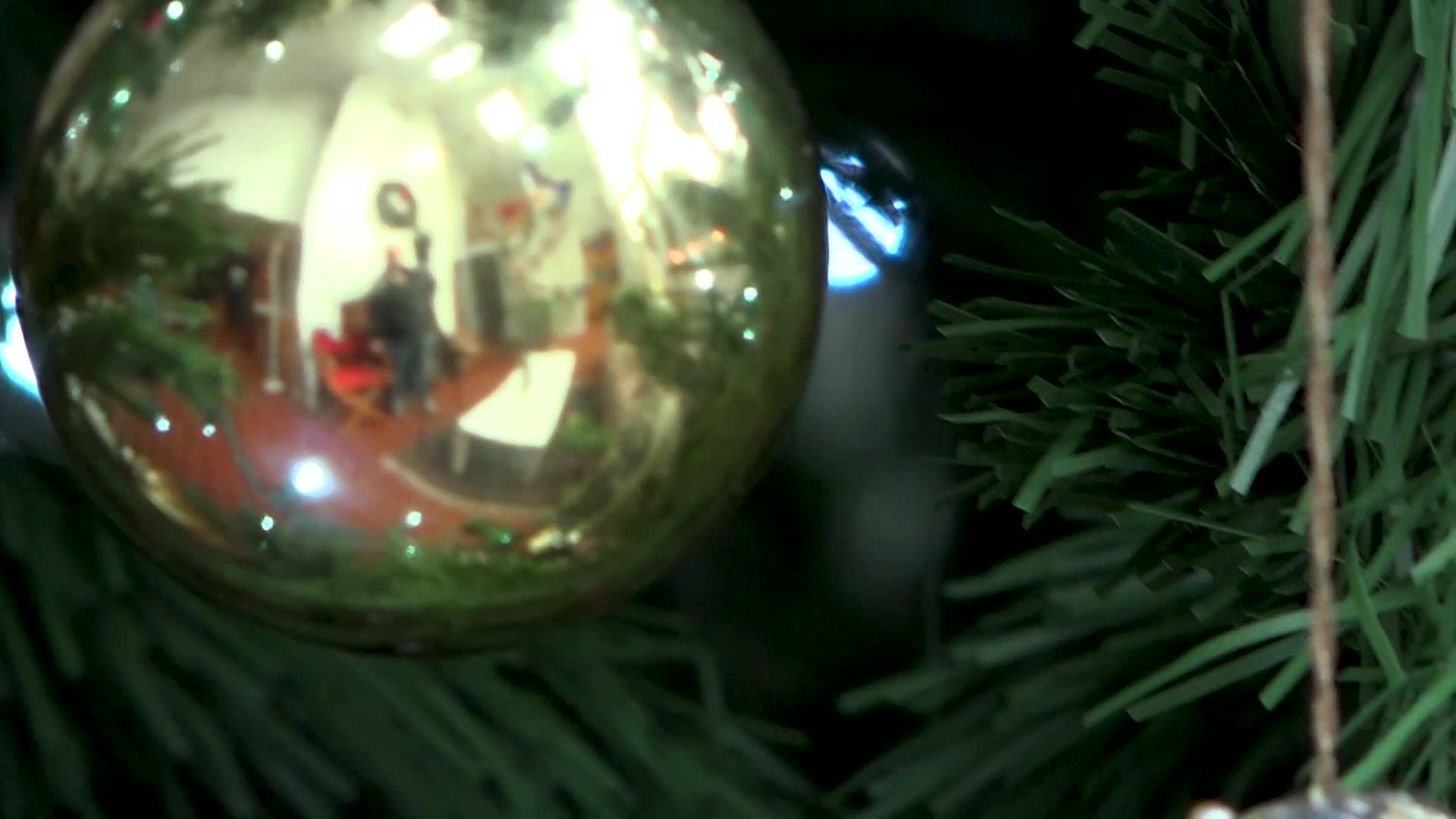 A Walk in the Garden