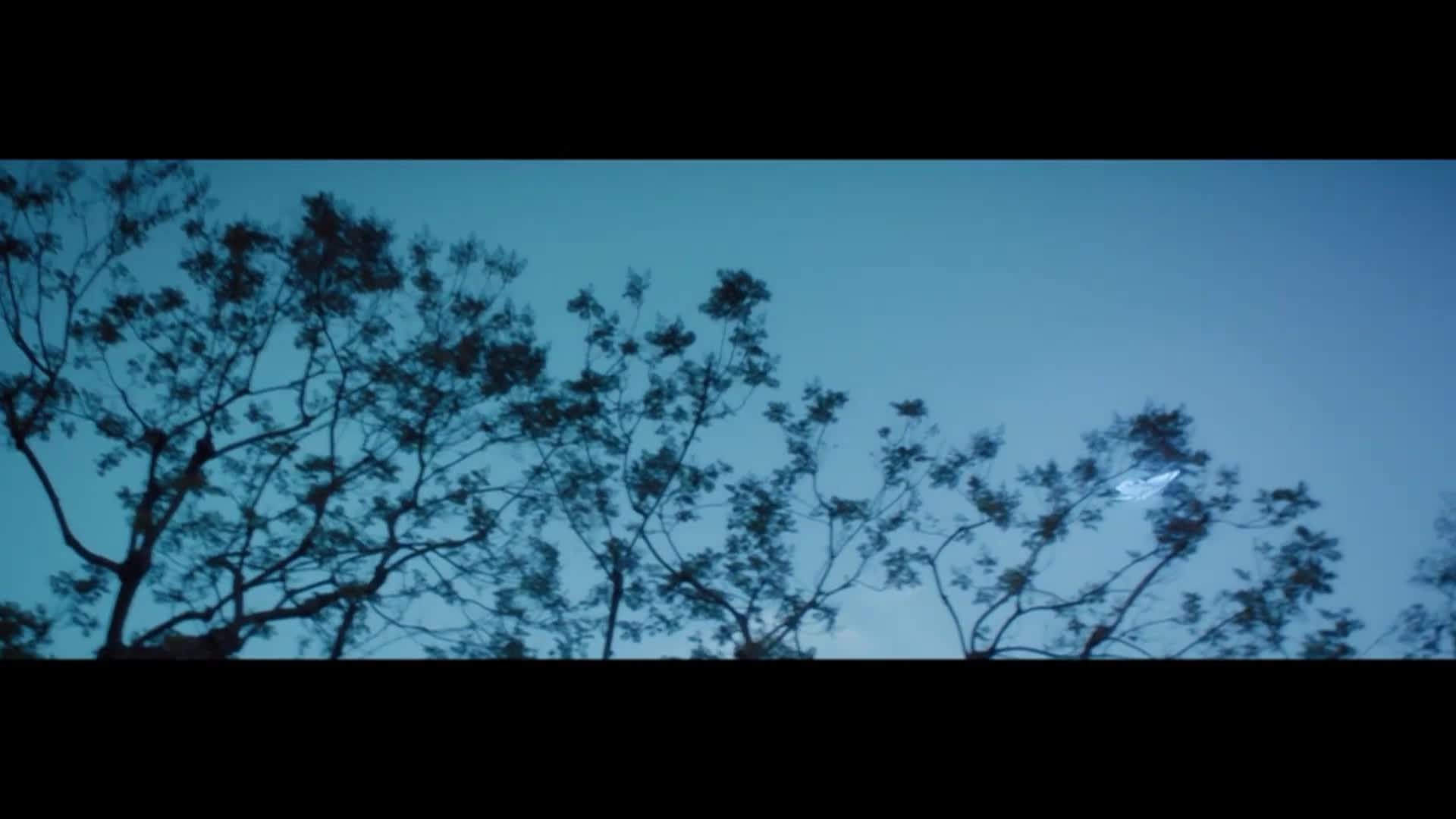 Sidewalks