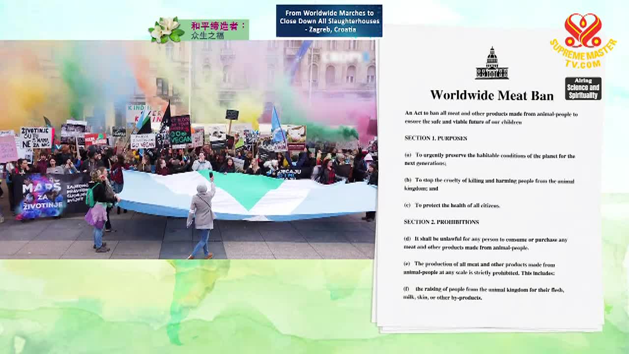 Enlightening Entertainment