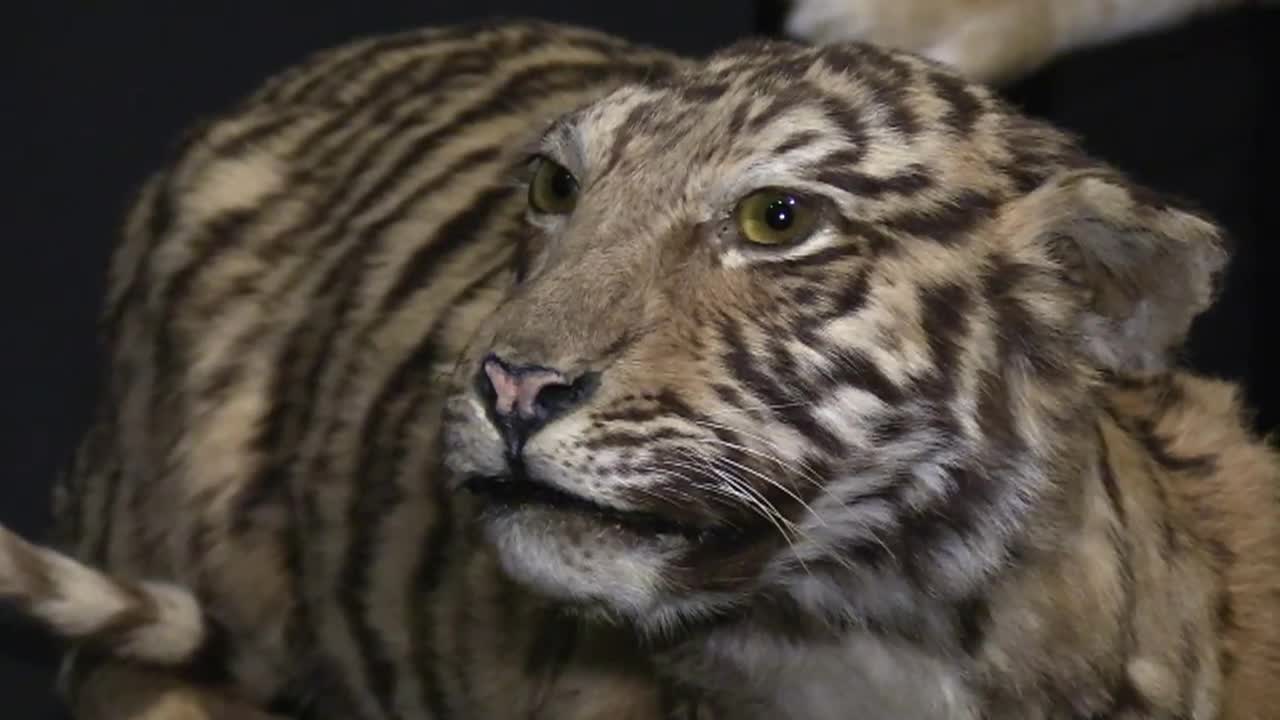 Out and About with Roger Martin