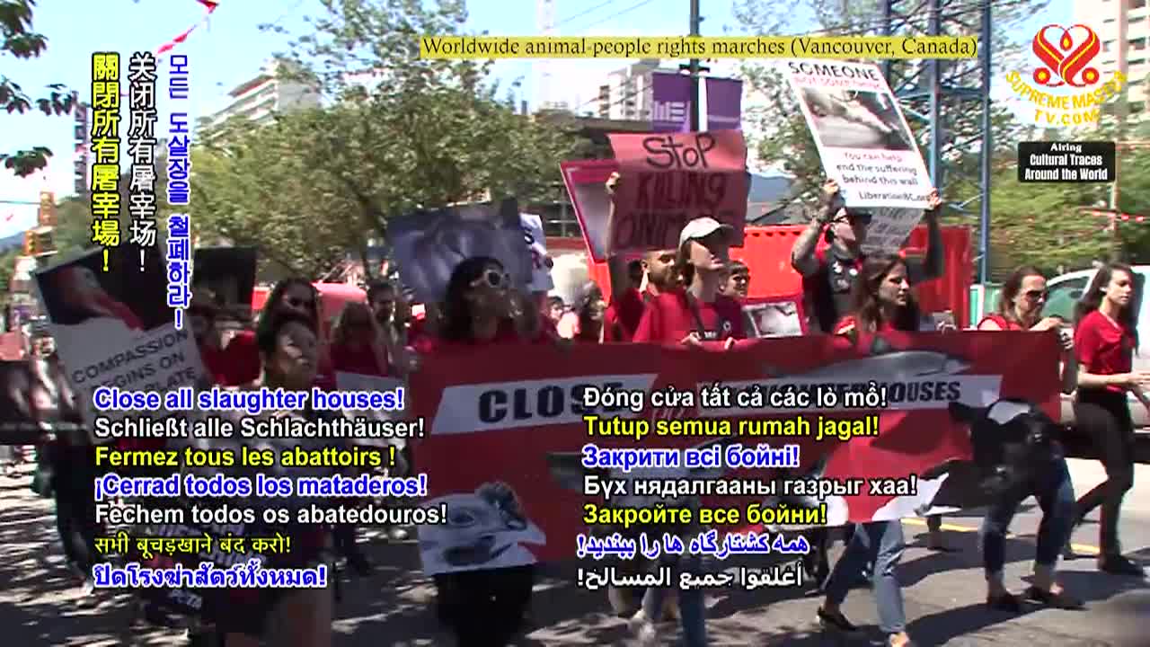 Thumbnail image for Enlightening Entertainment